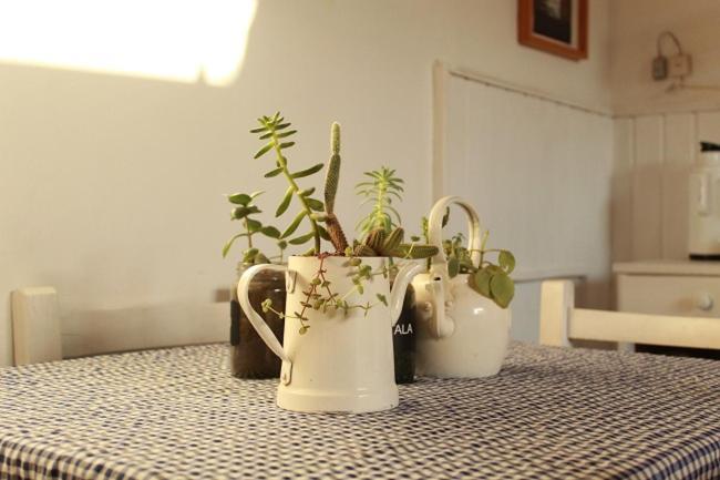 Alma De Proa Bed & Breakfast San Antonio de Areco Eksteriør billede